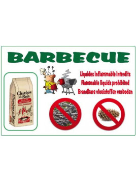 Barbecue charbon liquide...