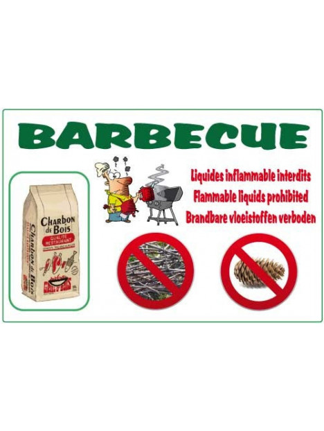 Barbecue charbon liquide inflammable interdit FR/AN/NL/ALL