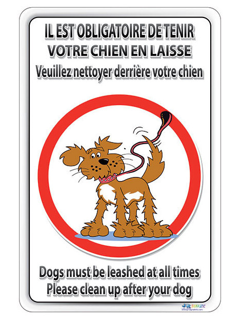 Chien en laisse, nettoyer derrière lui
