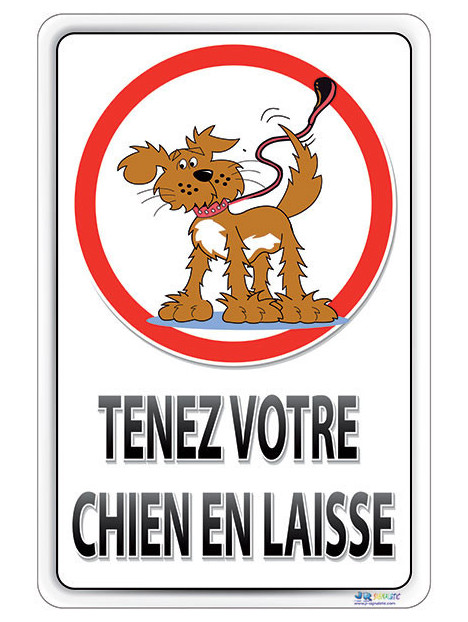 Chien en laisse