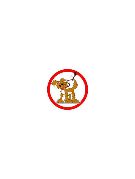 Chien en laisse pictogramme