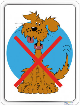 Chiens interdits image