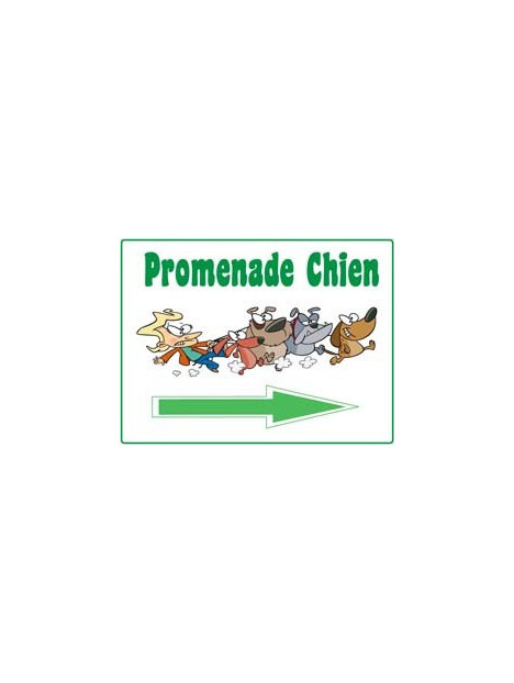 Panneau directionnel "promenade chien"