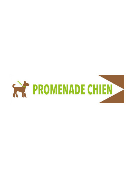 Directionnel Promenade chien pictogramme