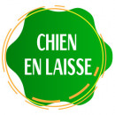 Panneau chien en laisse